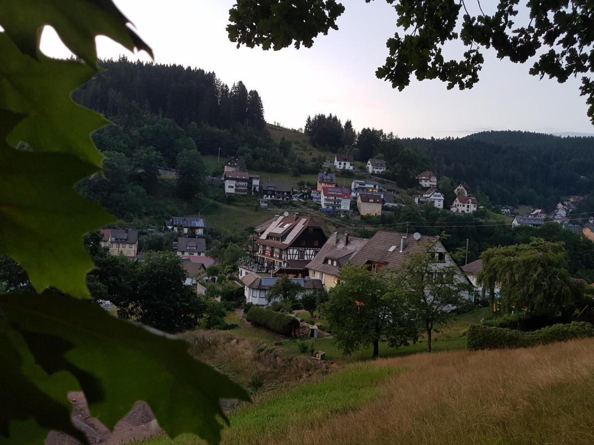 Gasthaus Muehlenstube Лаутербах Екстер'єр фото